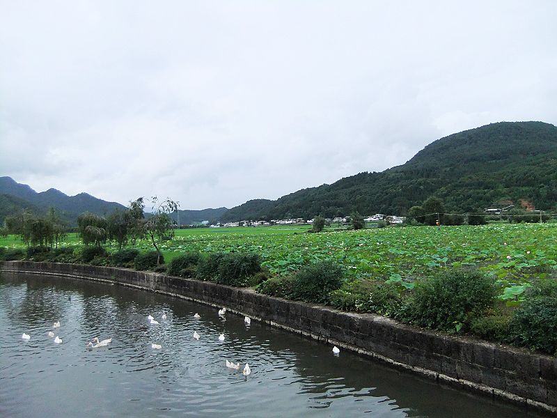 dscf1952.jpg