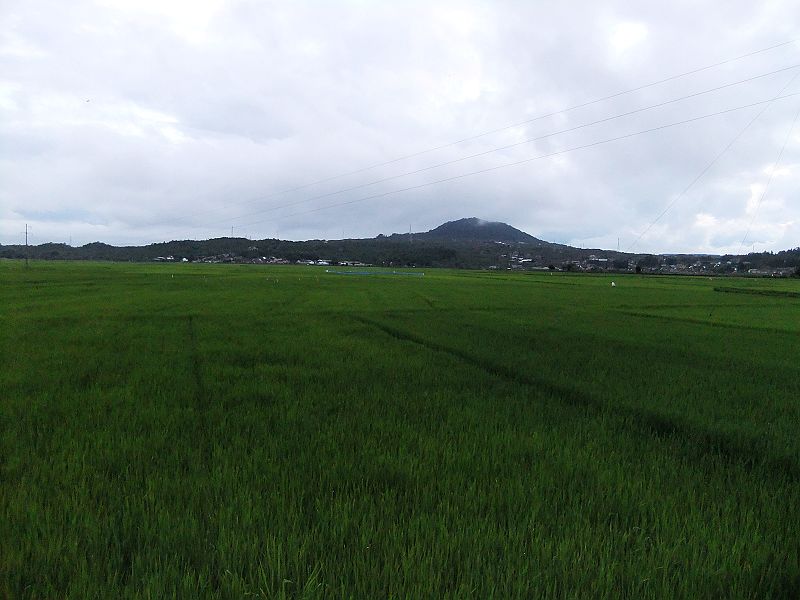 dscf1976.jpg