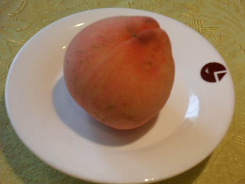 С sdc10097.jpg