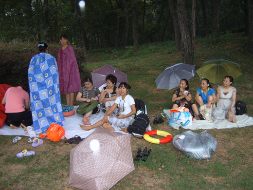 suc54515.jpg