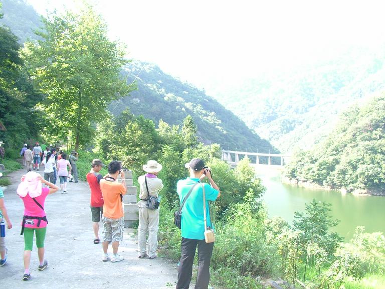 dscf4420.jpg