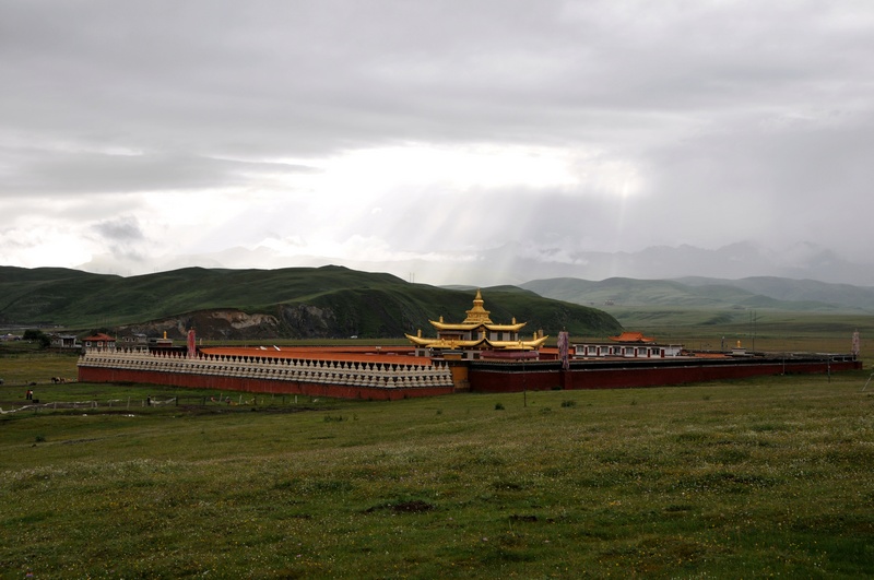 dsc_0417.jpg