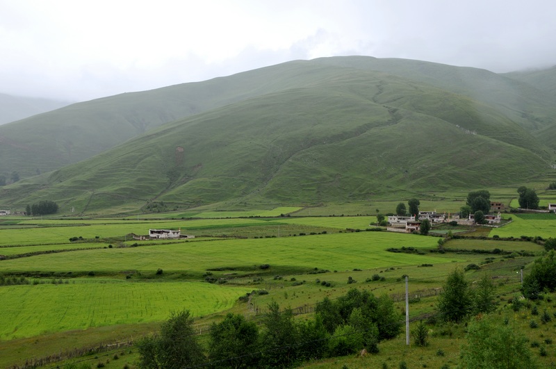 dsc_0517.jpg