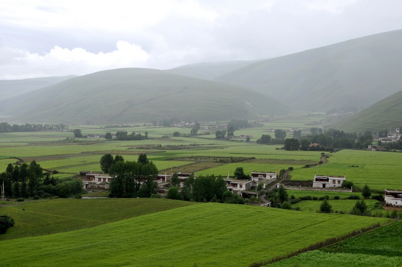 dsc_0518.jpg