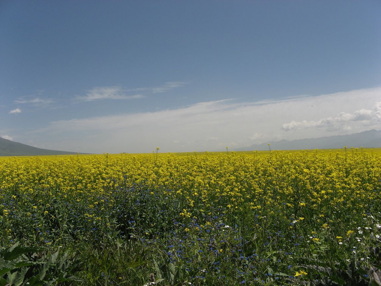img_7168.jpg