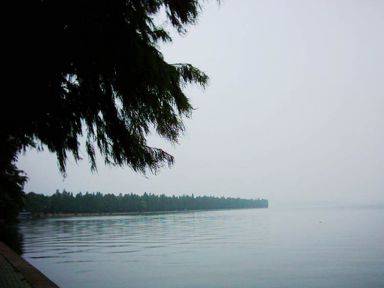 dsci0004.jpg