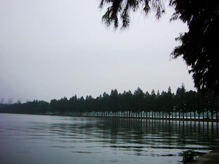 dsci0003.jpg