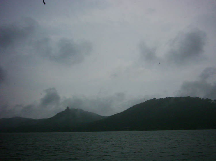 dsci0013.jpg