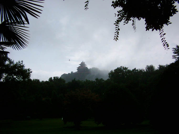 dsci0018.jpg