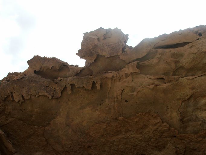 dscf7031.jpg