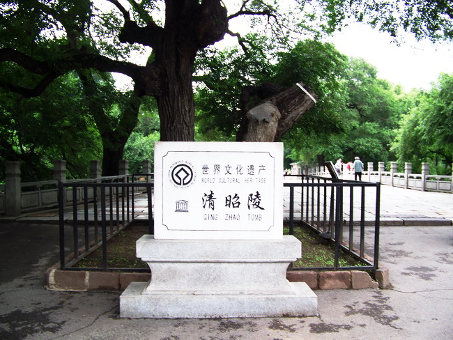 100_1560.jpg