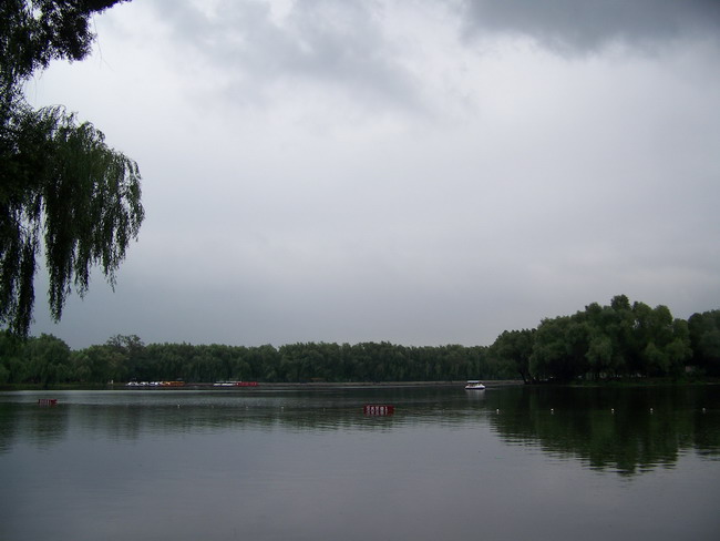 100_1564.jpg