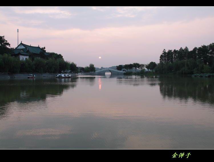 img_4785.jpg