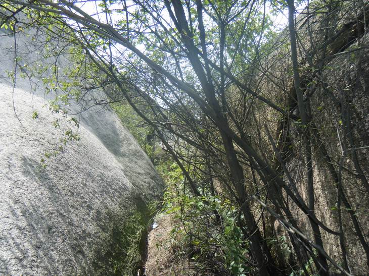 dscf1080.jpg