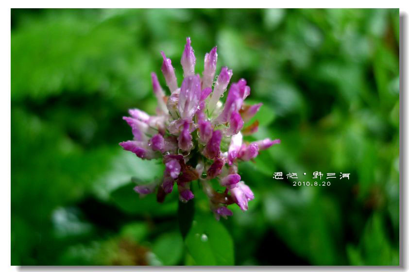 p1020876-1.jpg