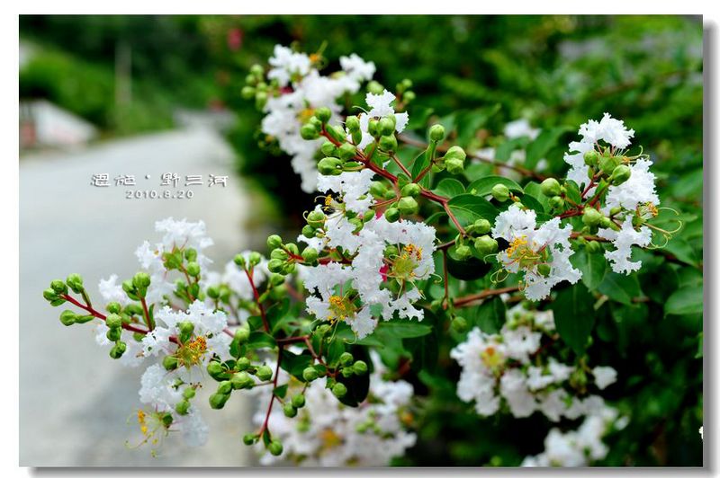 Ƭ 087-1.jpg