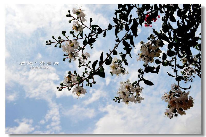 Ƭ 092.jpg