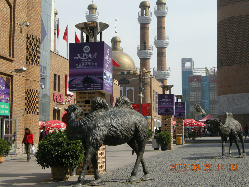 dscn4730.jpg