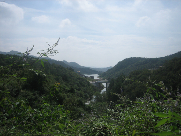 Ƭ 001.jpg