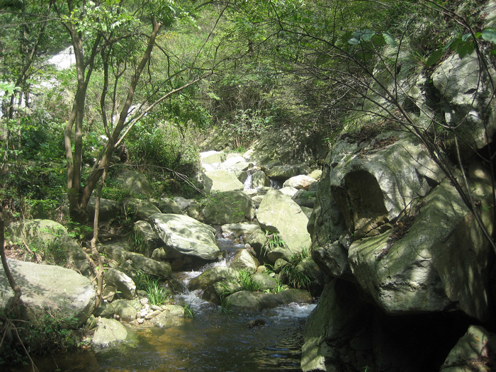 Ƭ 008.jpg