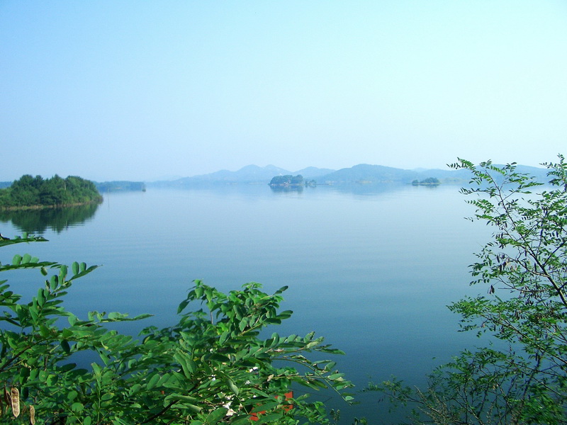 20109821343714078.jpg