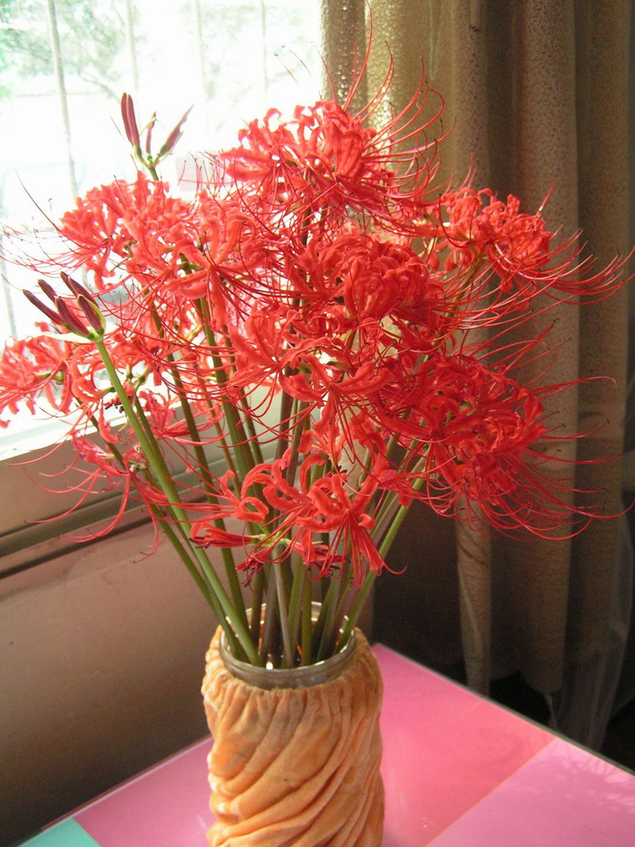pict0013_С.jpg