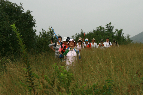 img_9718_1.jpg