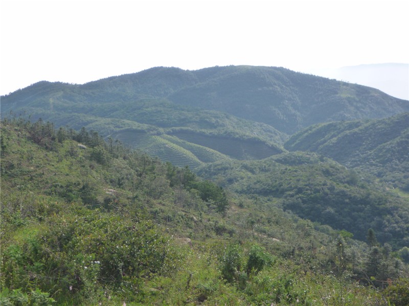 p1020357_.jpg