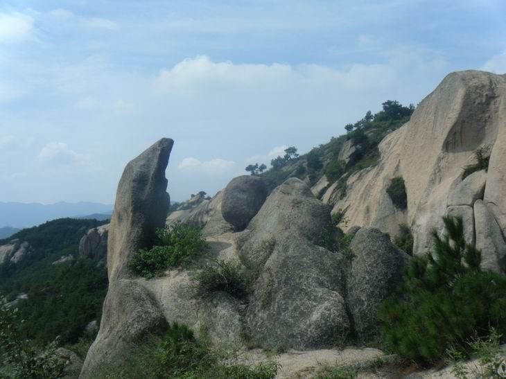 dscf1065.jpg