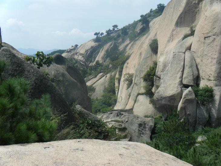 dscf1066.jpg