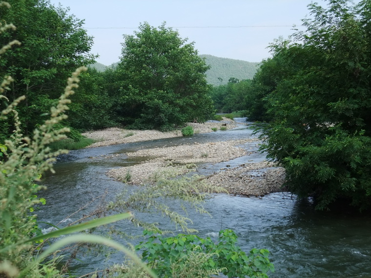 dscf7121-1.jpg