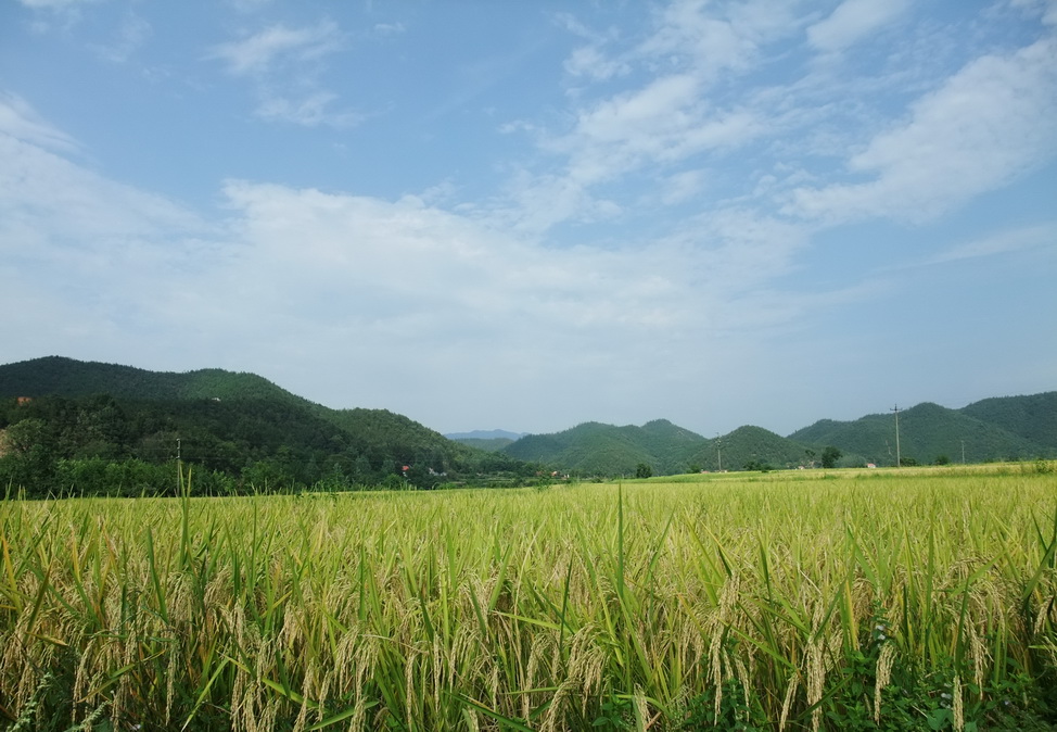 dscf7130-1.jpg
