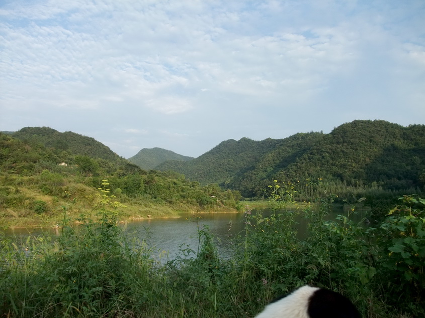 dscf7143-1.jpg