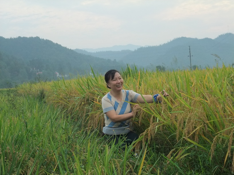 dscf7184-1.jpg