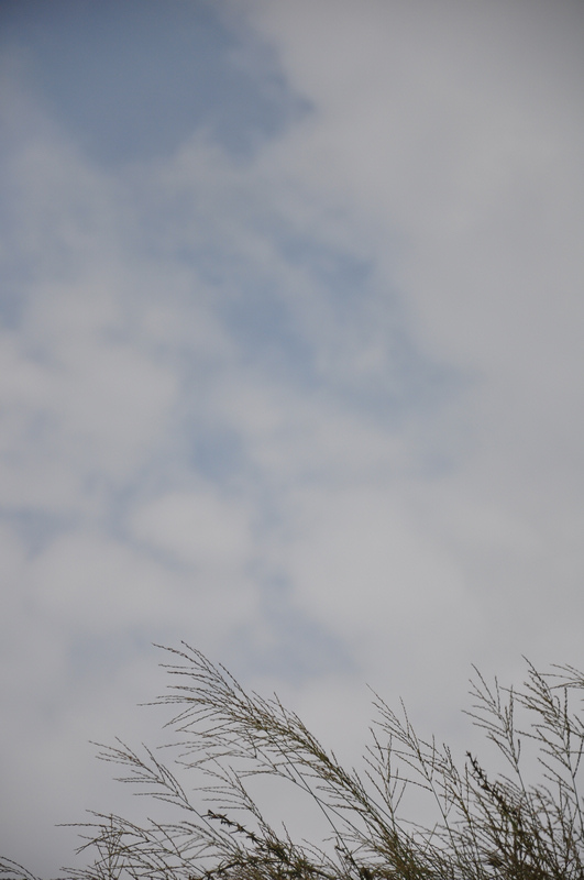 dsc_0018.jpg