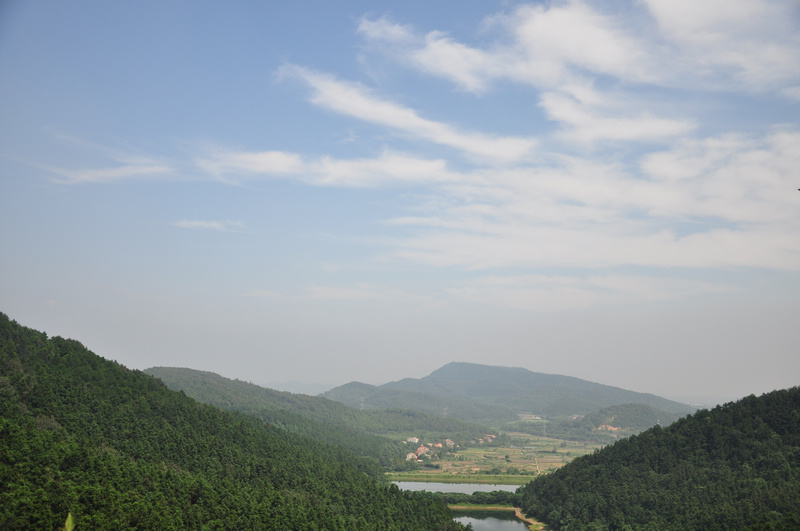 dsc_0230.jpg