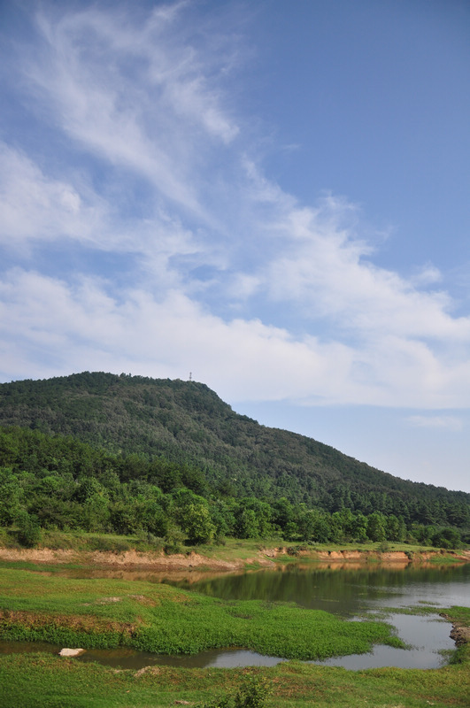 dsc_0317.jpg