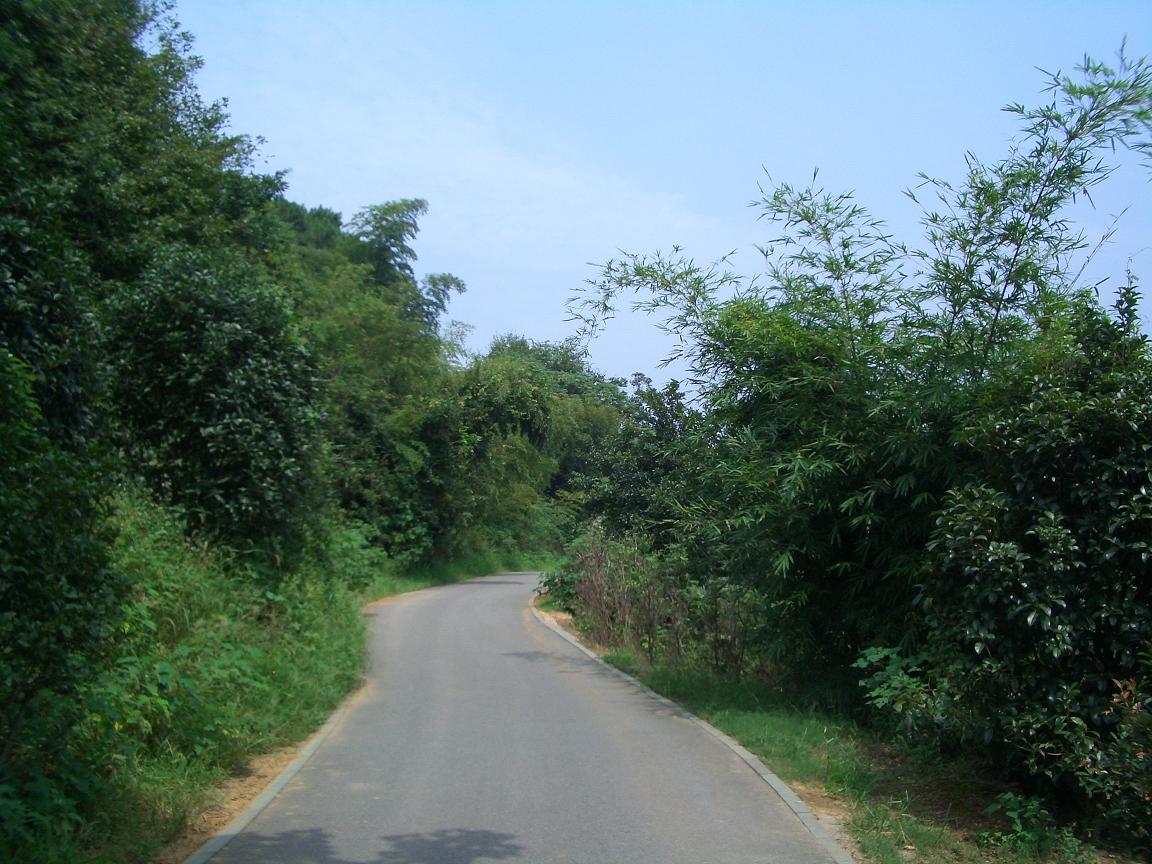 cimg1954.jpg