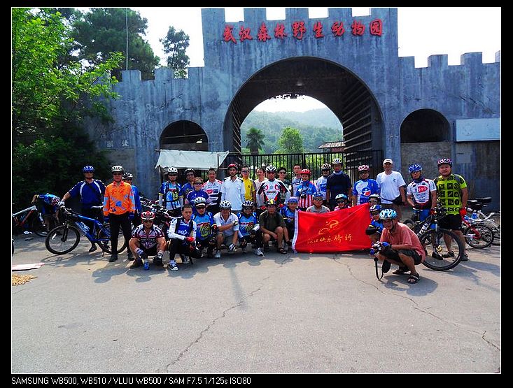 sdc13169.jpg