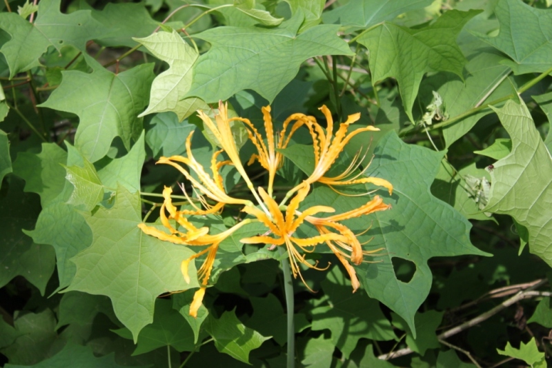 201091210344495661.jpg