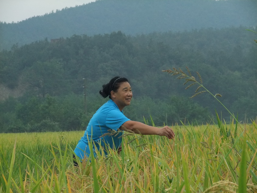 dscf7207-1.jpg