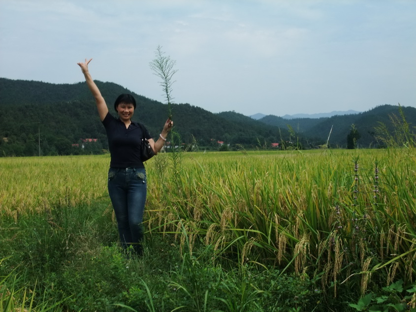 dscf7243-1.jpg
