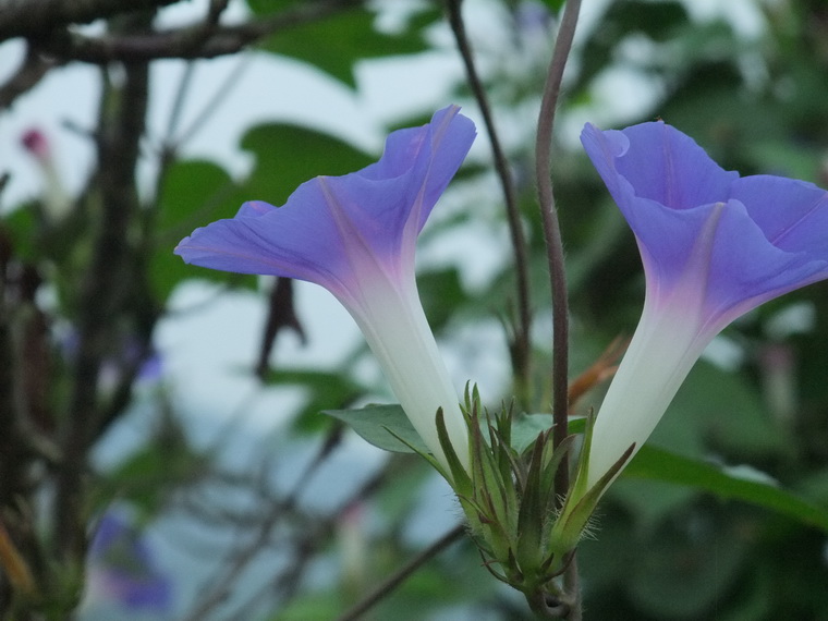 dscf7173-2.jpg