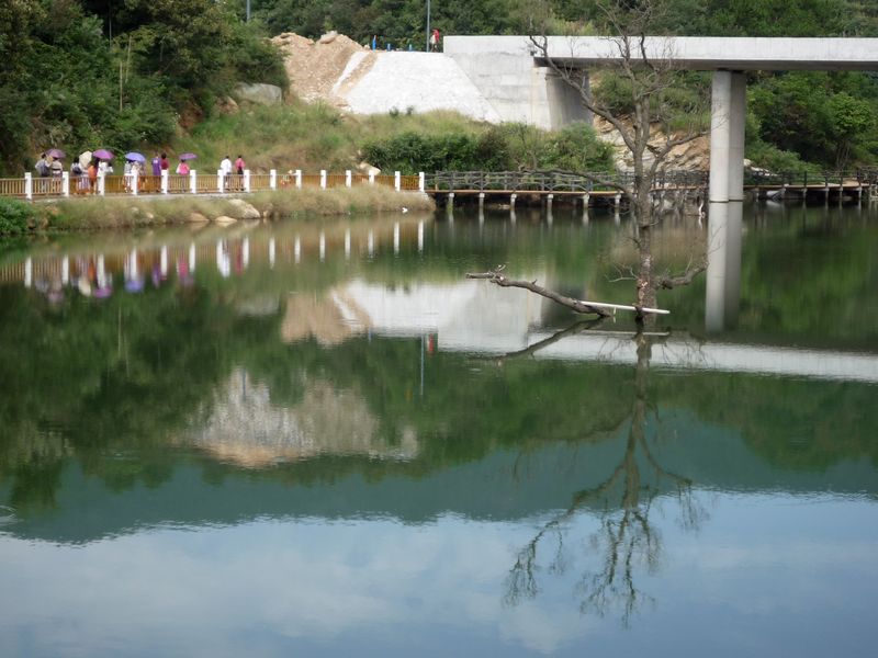 p1040010.jpg