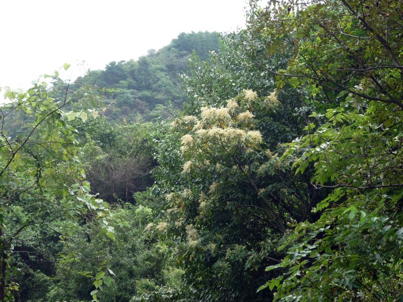 p1040010.jpg
