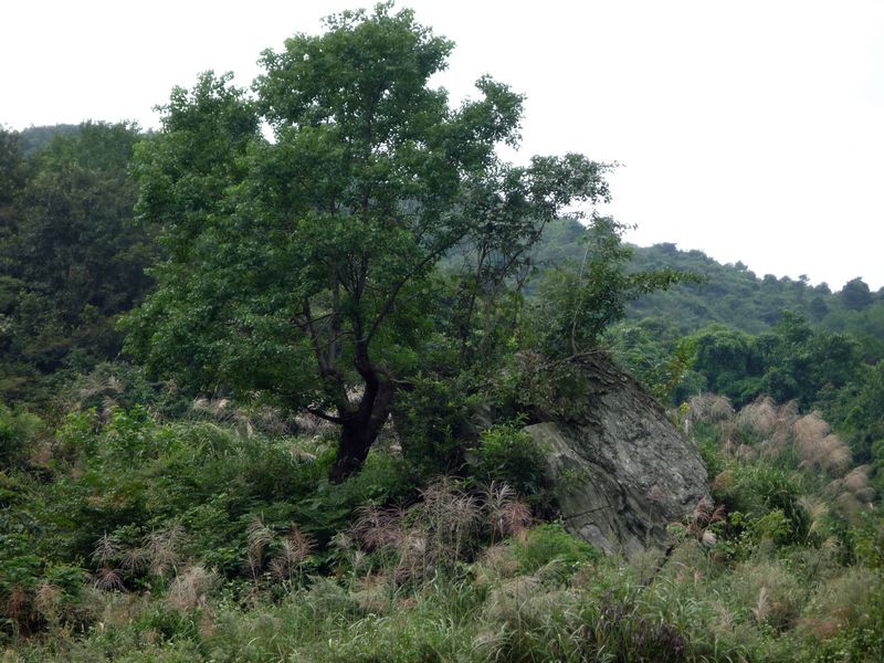 p1040010.jpg