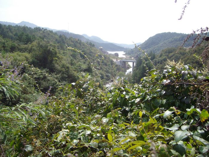 sany2543.jpg