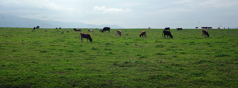imgp5499.jpg