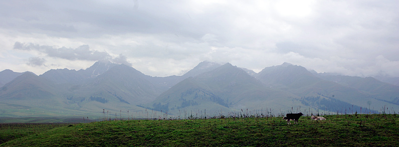 imgp5512.jpg
