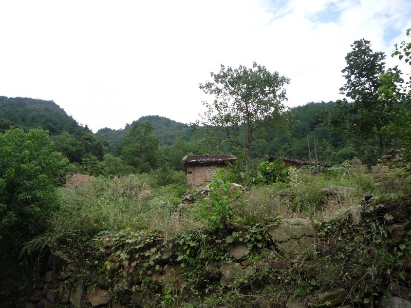 p1040010.jpg